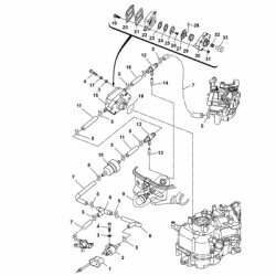 Parsun F6A Treibstoff-System